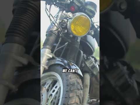 The Adaptability of Rats!