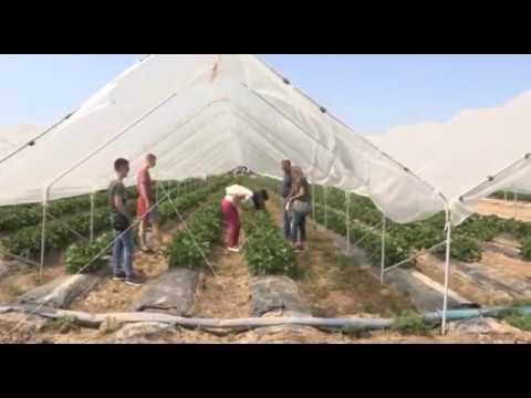 Može bolje ep. 79 08.10.2018. NAJAVA