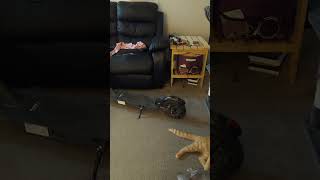 Caught wife cheating with her manager at Amazon. 15 years flush