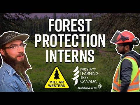 A Day in the Life of Forest Protection Interns