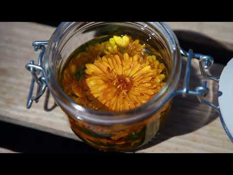 Vignette d'aperçu de la vidéo
