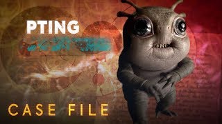 Case File #5 |Pting