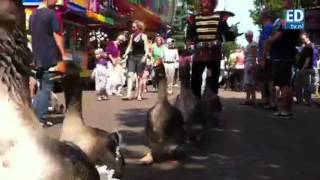preview picture of video 'Muzikale ganzenparade op kermis in Best'