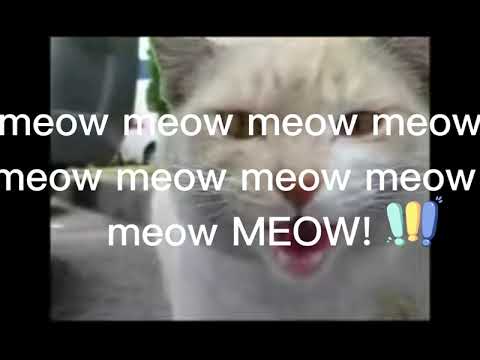 U.N. Owen was a Cat but with subtitles?!