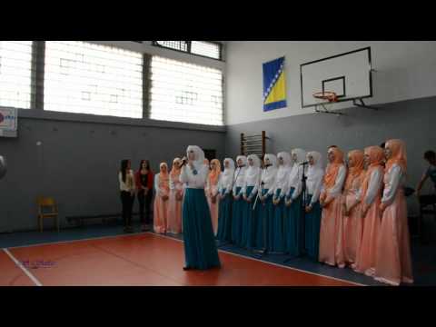 ViS Merak Sapna - Nek mirišu avlije