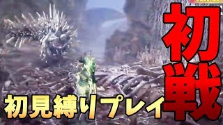 【MHWI】初見ラドバルキン戦ソロを縛りプレイ（イベントムービー込み）【太刀縛り】