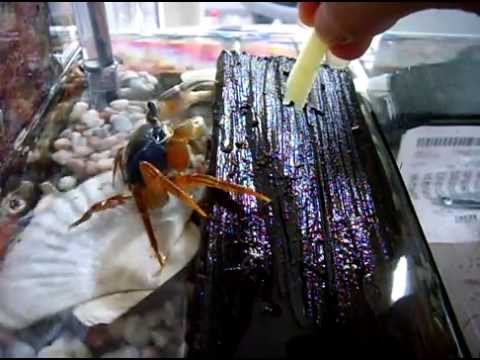 Watch Video on YouTube