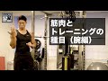 【筋トレ】筋肉の種類とトレーニング（腕）[S2 BodyMake]