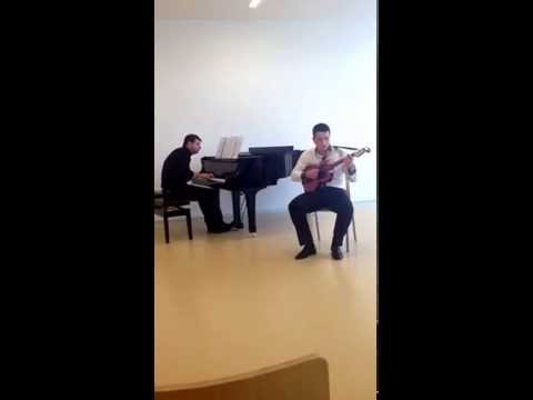 Međunarodno natjecanje tamburaša Požega - Martin Durbek