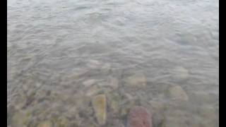 The Future Sound Of London - Domain