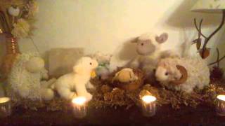 preview picture of video 'Sheep Nativity'