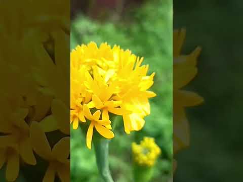 kerala me 📸📸 hashtags video creator