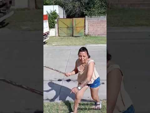 Trelew Argentina Museo Dinosaurio y Pinguinos