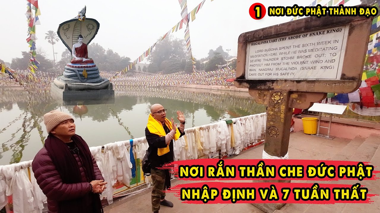 Hồ Mucalinda Nơi Rắn Thần Naga Bảo Vệ Đức Phật và 7 Tuần Kiết Già Tại Cội Bồ Đề