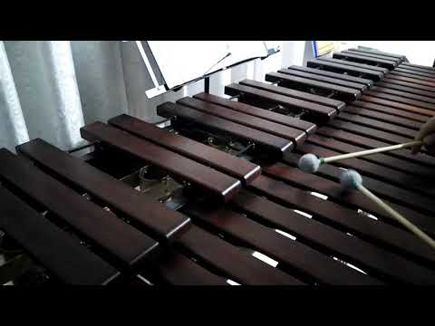 Inni di lode N°543: Son Io, Signor Marimba Cover