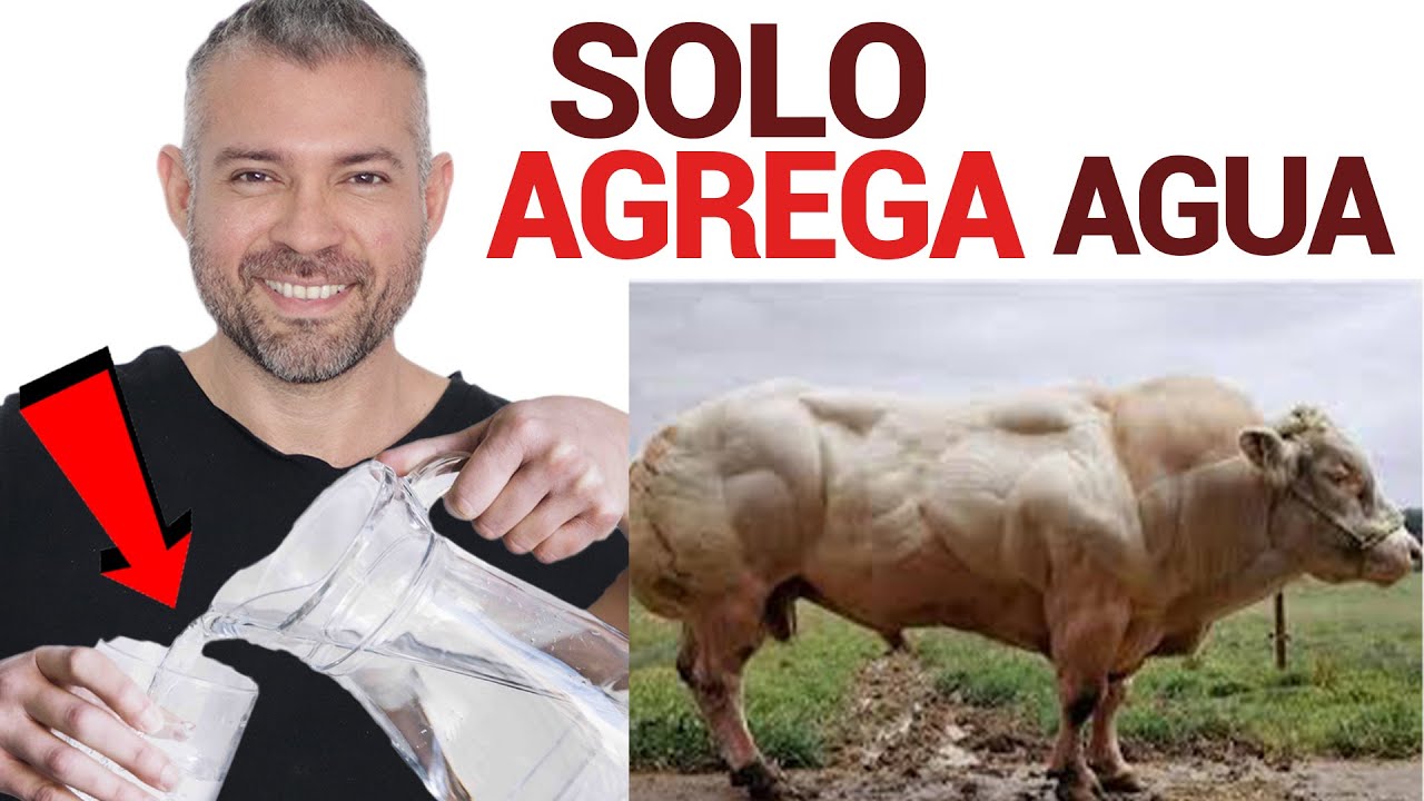 Cómo Hacer Leche Sin LACTOSA Y Sin CARBOHIDRATOS En CASA Para Ponerte Como Vaca (La de la foto 😅)