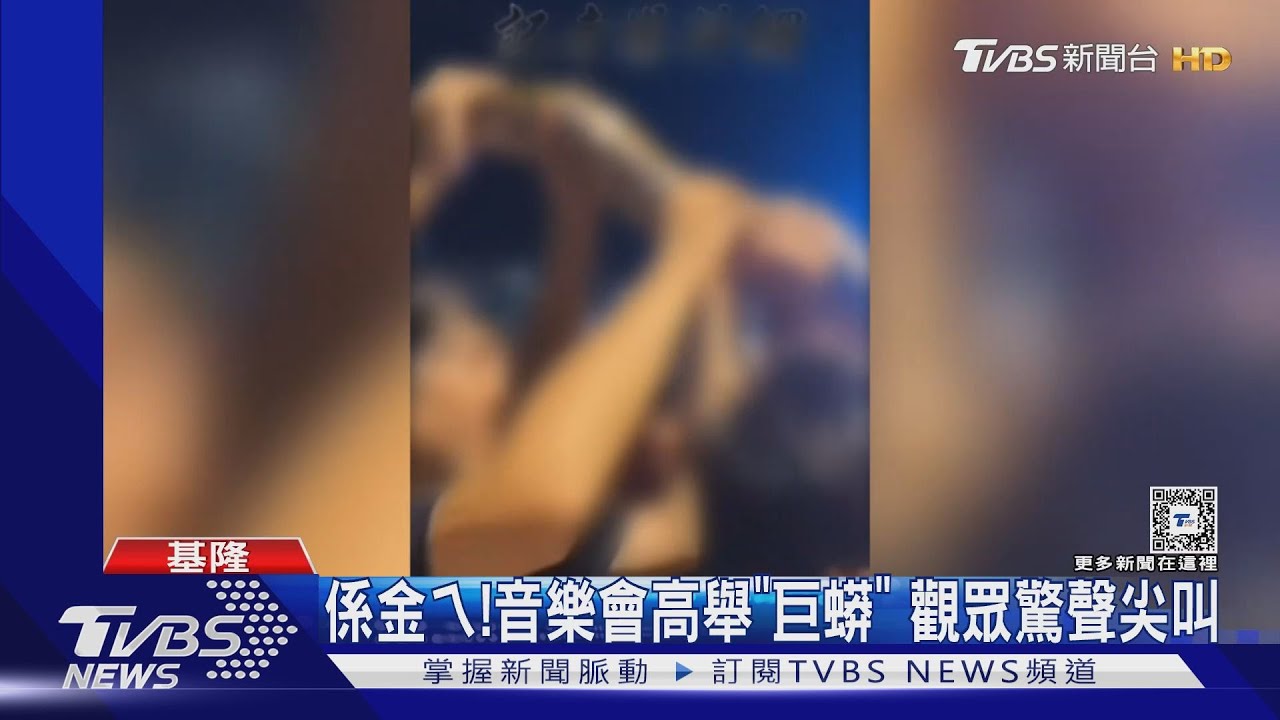 係金ㄟ!音樂會高舉「巨蟒」 觀眾驚聲尖叫