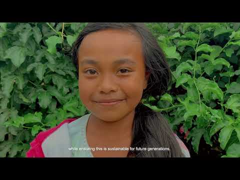 Tanamera Coffee: Crafting Indonesia's Finest Specialty Coffee