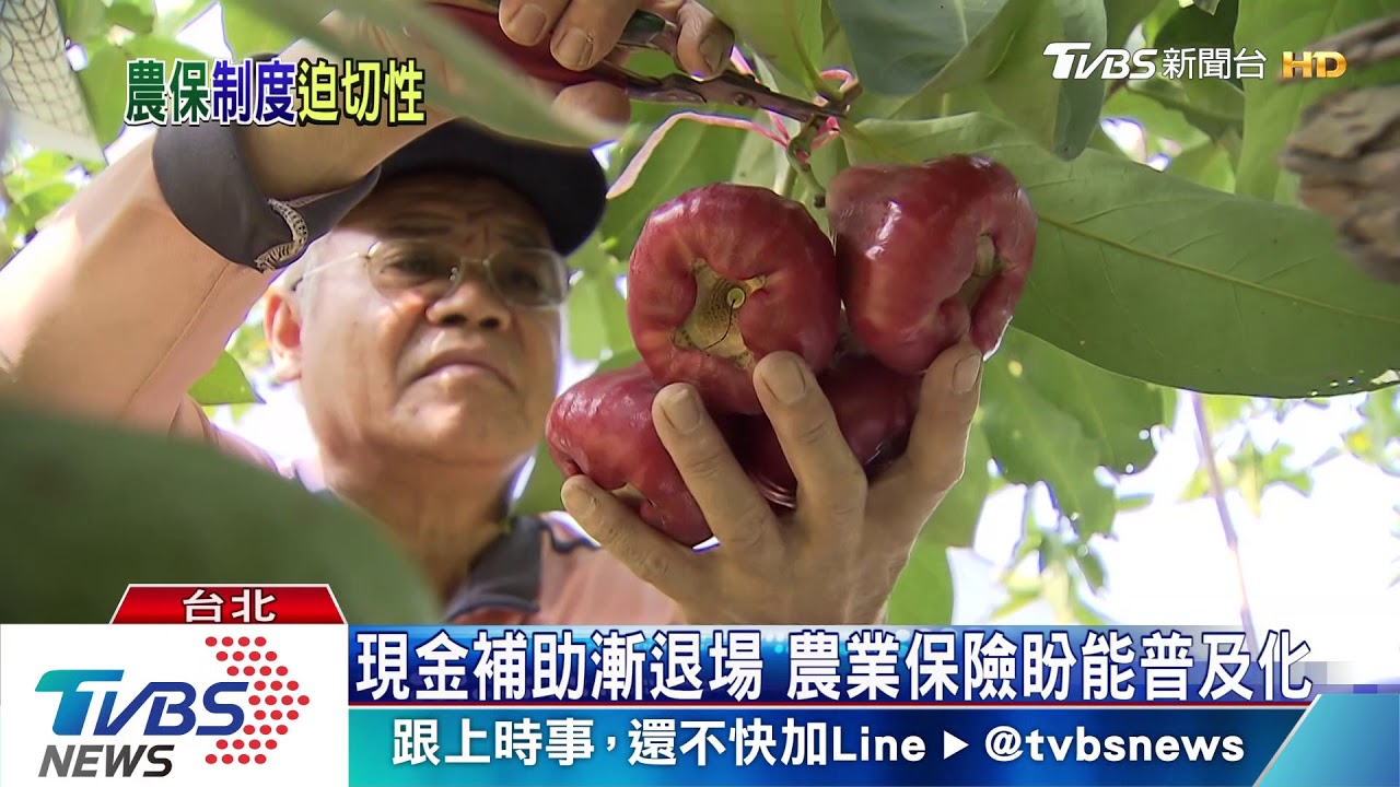 極端氣候 農損增加農委會推農業保險普及