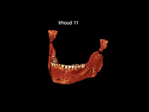 CARTA Presents The Origins of Today's Humans - Homo Sapiens Origins: When "Moderns" Were "Archaic"