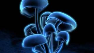 Marshall Jefferson vs Noosa Heads- Mushrooms (The Timewriter mix)