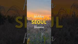 Seoul’s Secret Sky Park Will Steal Your Breath 🇰🇷😍