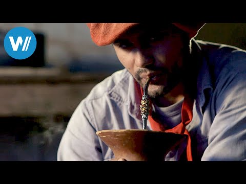 Mate tea, the soul of Argentina (360° - GEO Reportage)