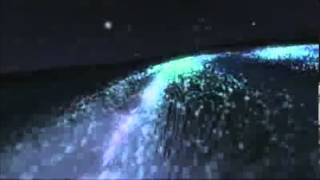 Hype Williams - Galice