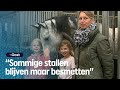 Marijke wil weten waarom haar paarden zo ziek zijn | RTV Oost