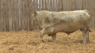 Guia para corrigir falha p007d