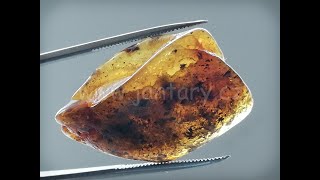 Okno do baltského jantaru PO-32