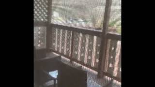 Helen GA Riverbend Hotel and Cabin (cabin)