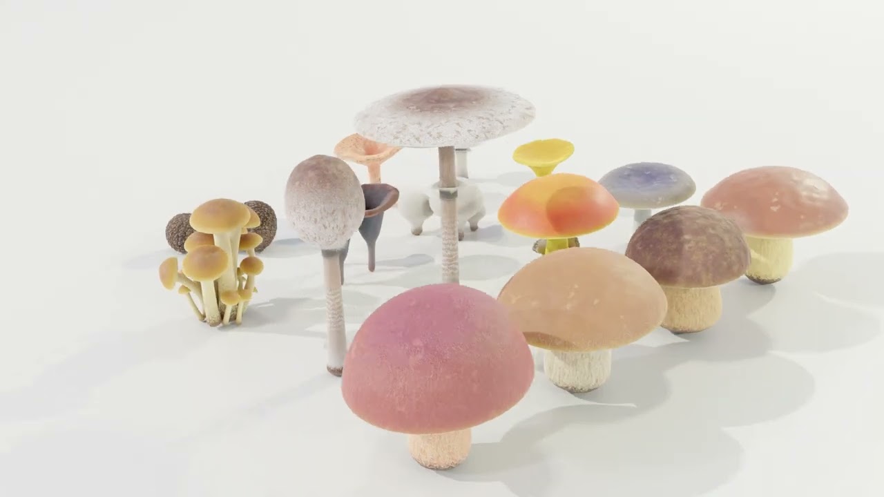 Mushrooms Collection 3D Model