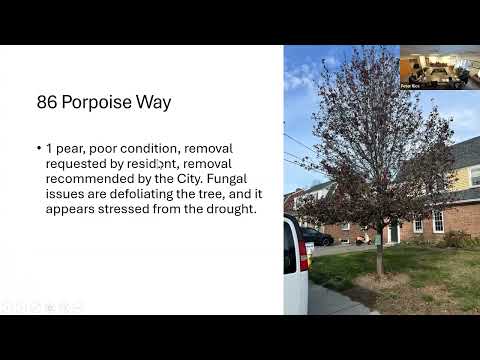 11.12.2025 Trees and Public Greenery Committee