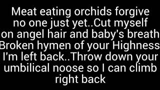 Download lagu Neovaii - Heart Shaped Box Lyrics mp3