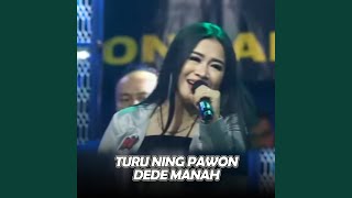Download lagu Turu Ning Pawon (Live) mp3