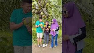 Download lagu Fun coconut picking mp3 Download lagu Fun coconut picking mp3