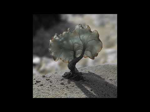 Justin Berkovi - Prelude [SMV013]