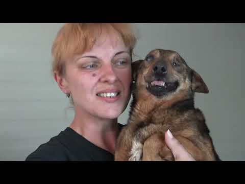 Najbolji prijatelj - prilagođeni titlovi za gluhe i nagluhe