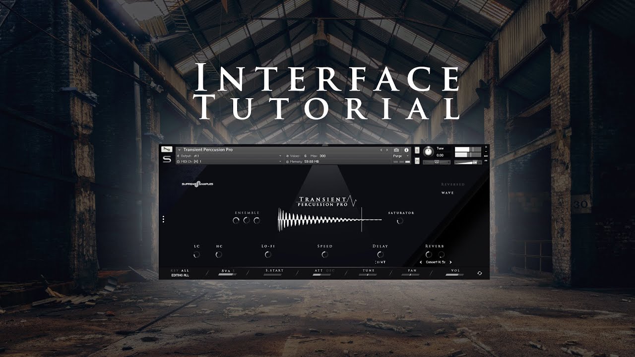 Transient Percussion Pro For Kontakt - Interface Overview