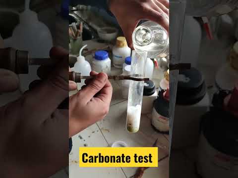 salt analysis Carbonate test #class12 #chemistry