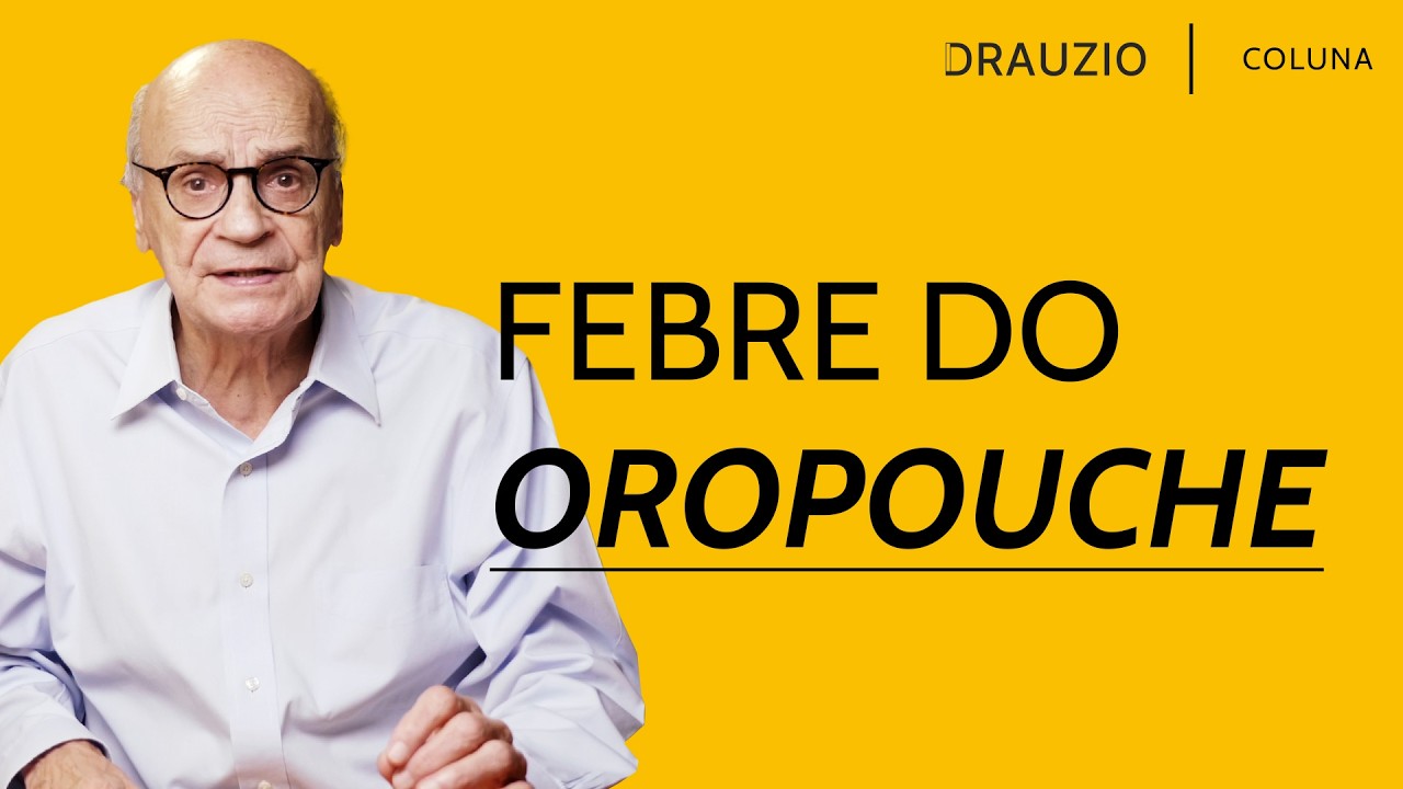 Saiba o que é a Febre do Oropouche, doença transmitida por mosquitos