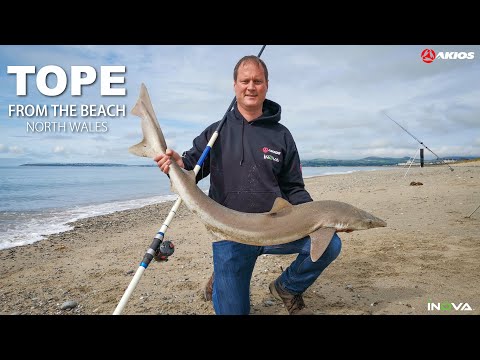 Akios AIRPOWER & NITRON F-15 vs 30lb Tope from a North Wales Beach