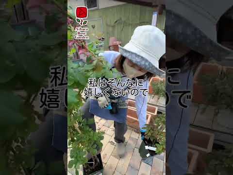 霜が降りた植物を（鉢植えまたは地中に）保存し、再び植え直すにはどうすればよいでしょうか？  庭園