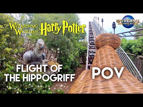 On-ride point of view of Flight of the Hippogriff