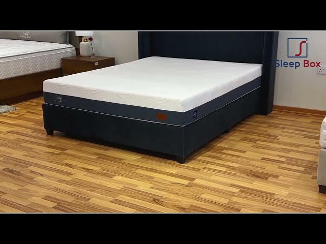 مرتبة توليب - قاسي