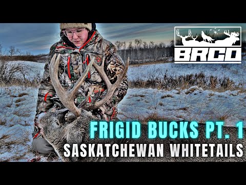 December Whitetails EVERYWHERE | Saskatchewan Whitetail Hunting