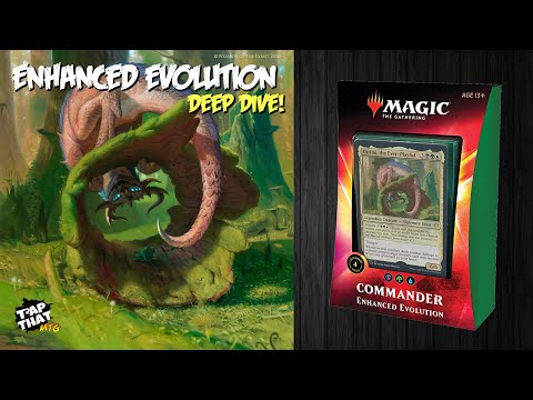 Enhanced Evolution Commander 2020 Deep Dive