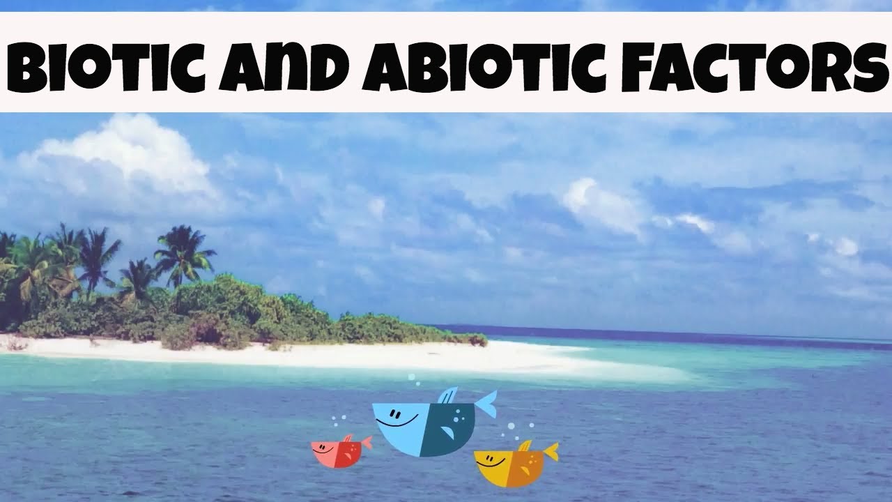 Is clouds abiotic or biotic?
