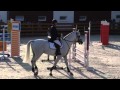 Конный спорт: конкур видео 